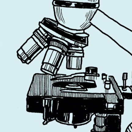 432x432 How To Choose A New Microscope Cosmos