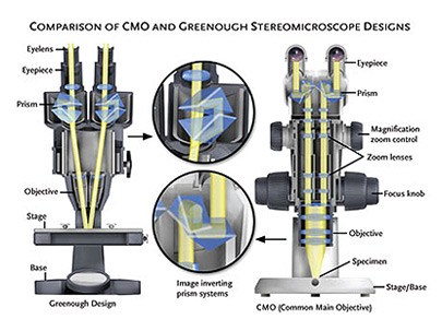 405x303 Stereo Microscopes