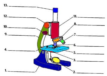 359x254 The Microscope