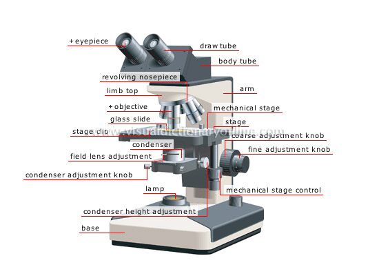550x384 Science Physics Optics Magnifying Glass And Microscopes
