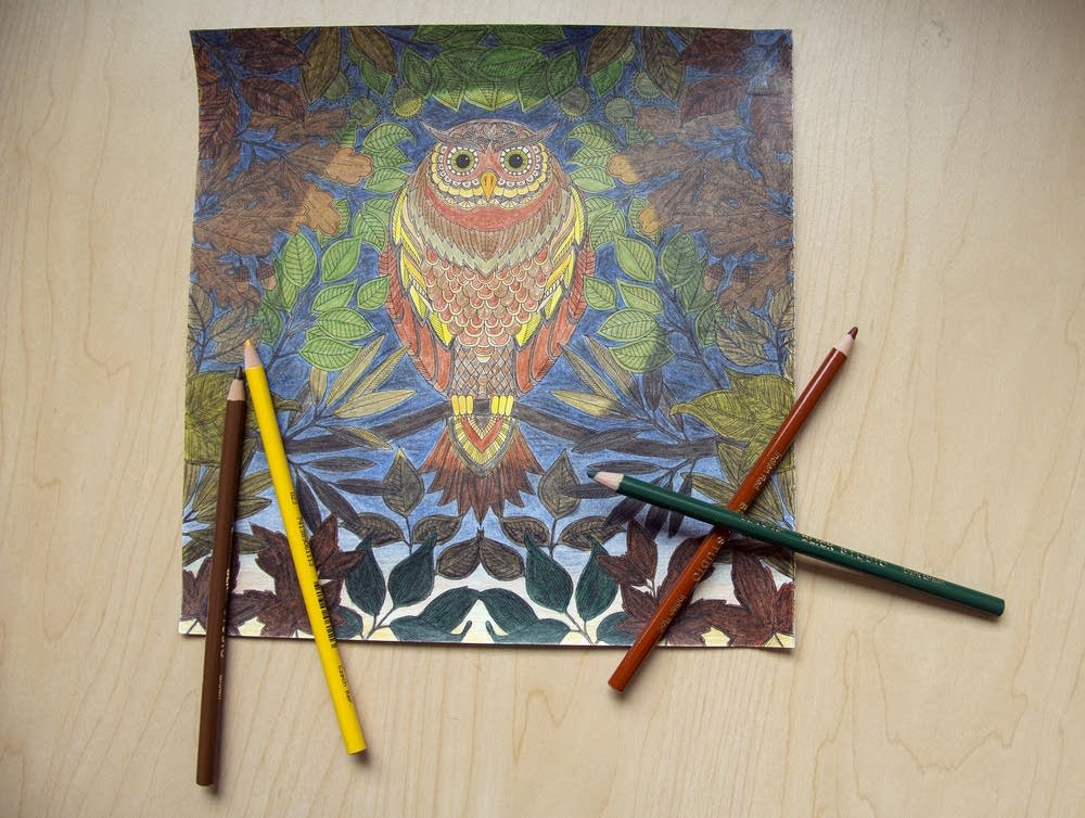 1000x754 How Adult Coloring Books Became A Million Dollar Trend Minnesota