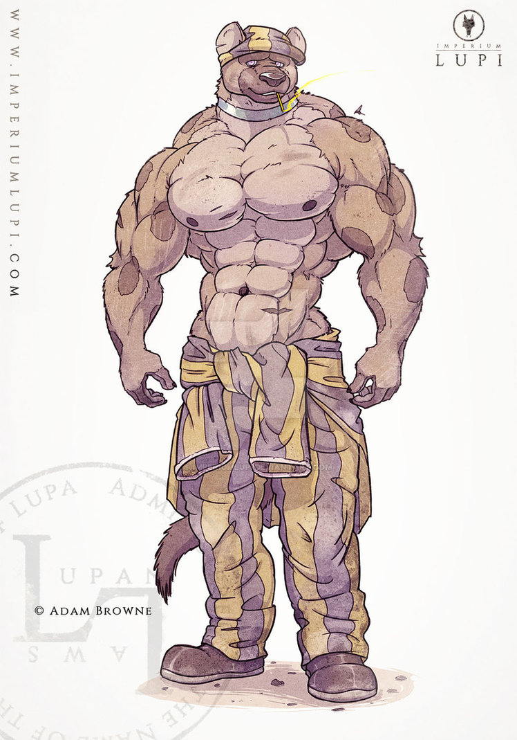 748x1069 Imperium Lupi