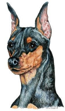 225x385 Give Me Peanut Butter. Min Pin. Miniature Pinscher. Furry