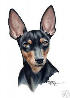 236x330 Miniature Pinscher Dog Pencil Drawing Art Print Signed By Artist