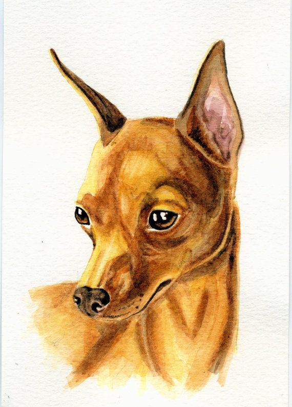 Miniature Pinscher Drawing at GetDrawings | Free download