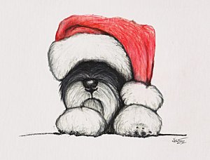 300x228 Santa Schnauzer Drawing By Katerina A Cechova