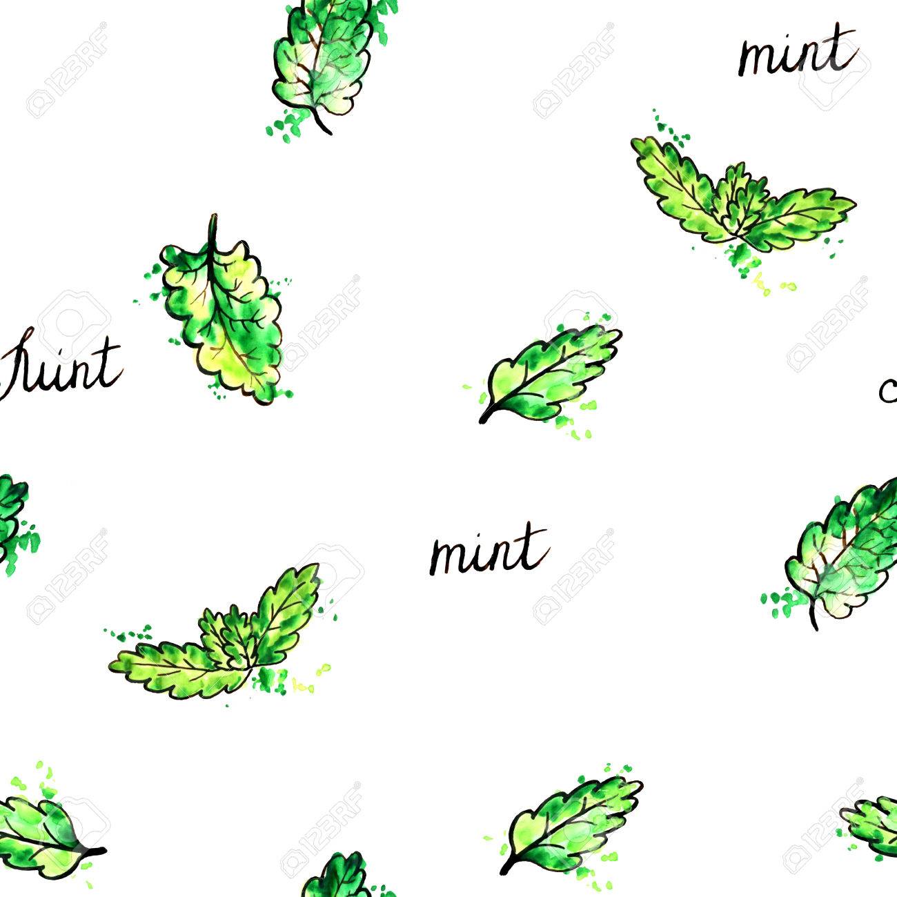 1300x1300 Seamess Pattern Hand Drawn Mint Leaves, Background