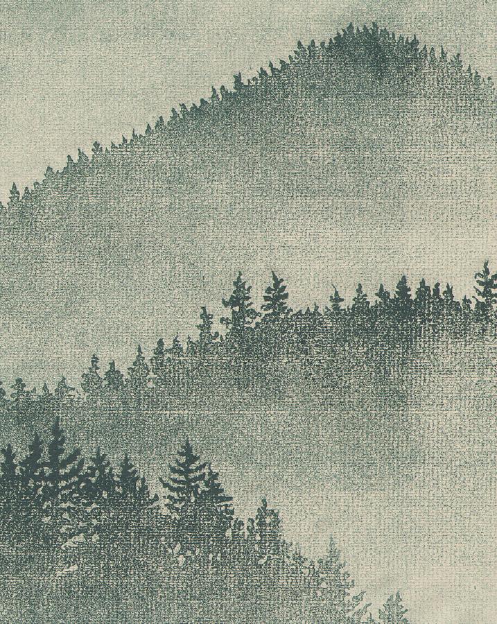 717x900 Redwood Mist Drawing By Sara Bell