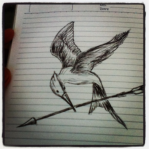 612x612 My Mockingjay Bird Drawing By Jimdrix