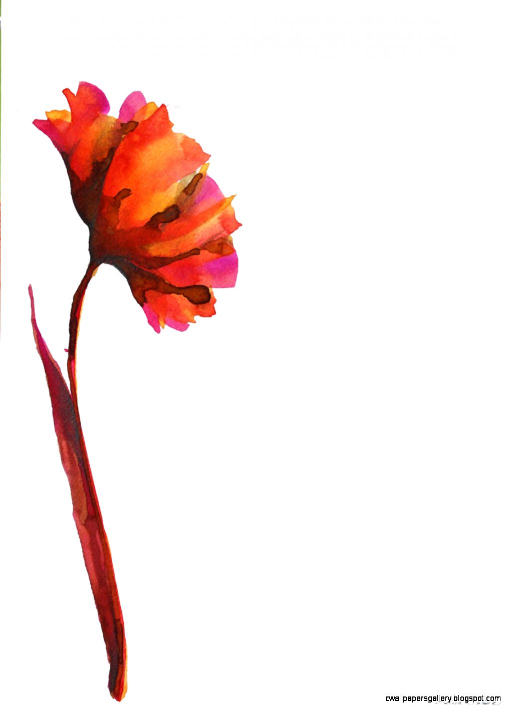 1012x1410 Modern Flower Drawing Wallpapers Gallery