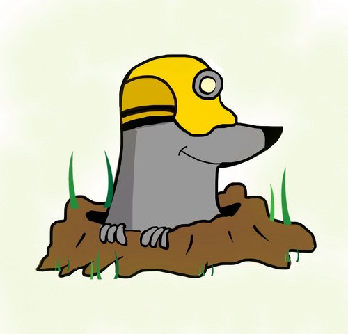500x480 Mole Drawings