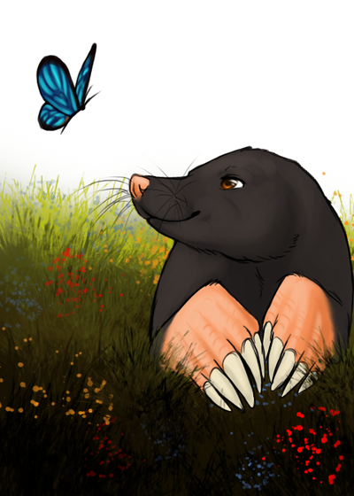 400x560 Mole By Feffelii