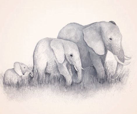 470x391 Dad Mom And Baby Elephant Drawing Baby Things