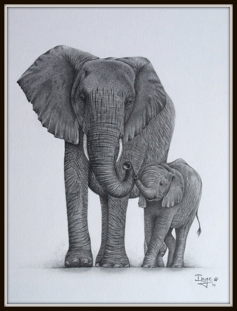 781x1023 Mother And Baby Elephant Tattoos