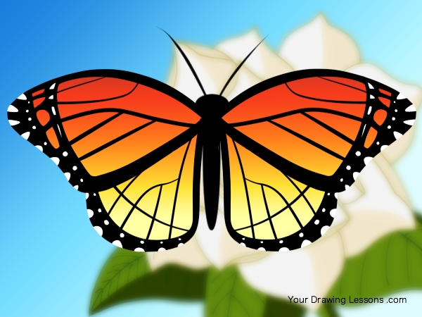 600x450 How To Draw A Monarch Butterfly Your Drawing Lessons