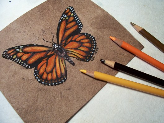 529x396 Draw Amp Paint Monarch Butterflies