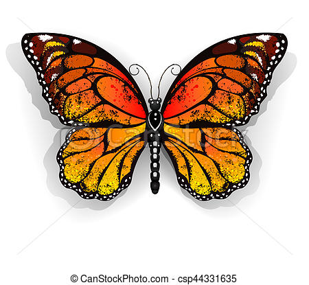 450x415 Orange Butterfly Monarch. Orange, Realistic Monarch Drawings