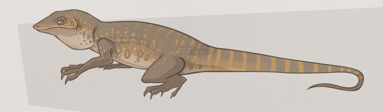 788x232 Monitor Lizard Detail By Beavotron
