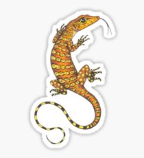 210x230 Monitor Lizard Drawing Stickers Redbubble