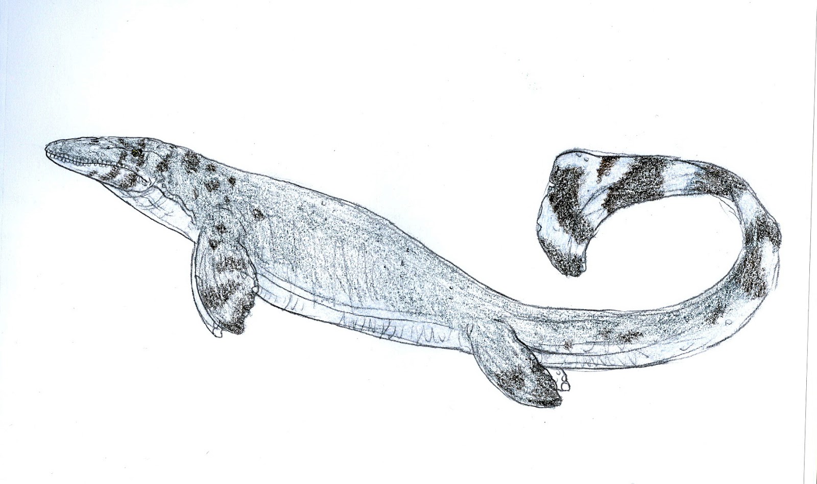 1600x949 Prehistoric Beast Of The Week January 2012