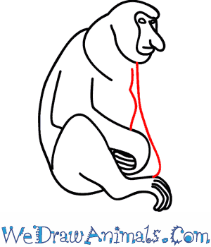 300x350 Proboscis Monkey 07.png