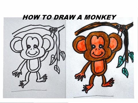 480x360 How To Draw A Monkey, Easy Step By Step Art Tutorial
