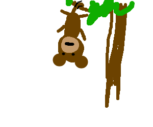 300x250 Bored Monkey Hanging Upside Down From A Tree