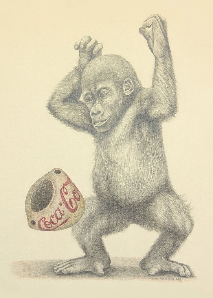 736x1032 8 Best Monkey Art Images On Monkey Art, Monkeys