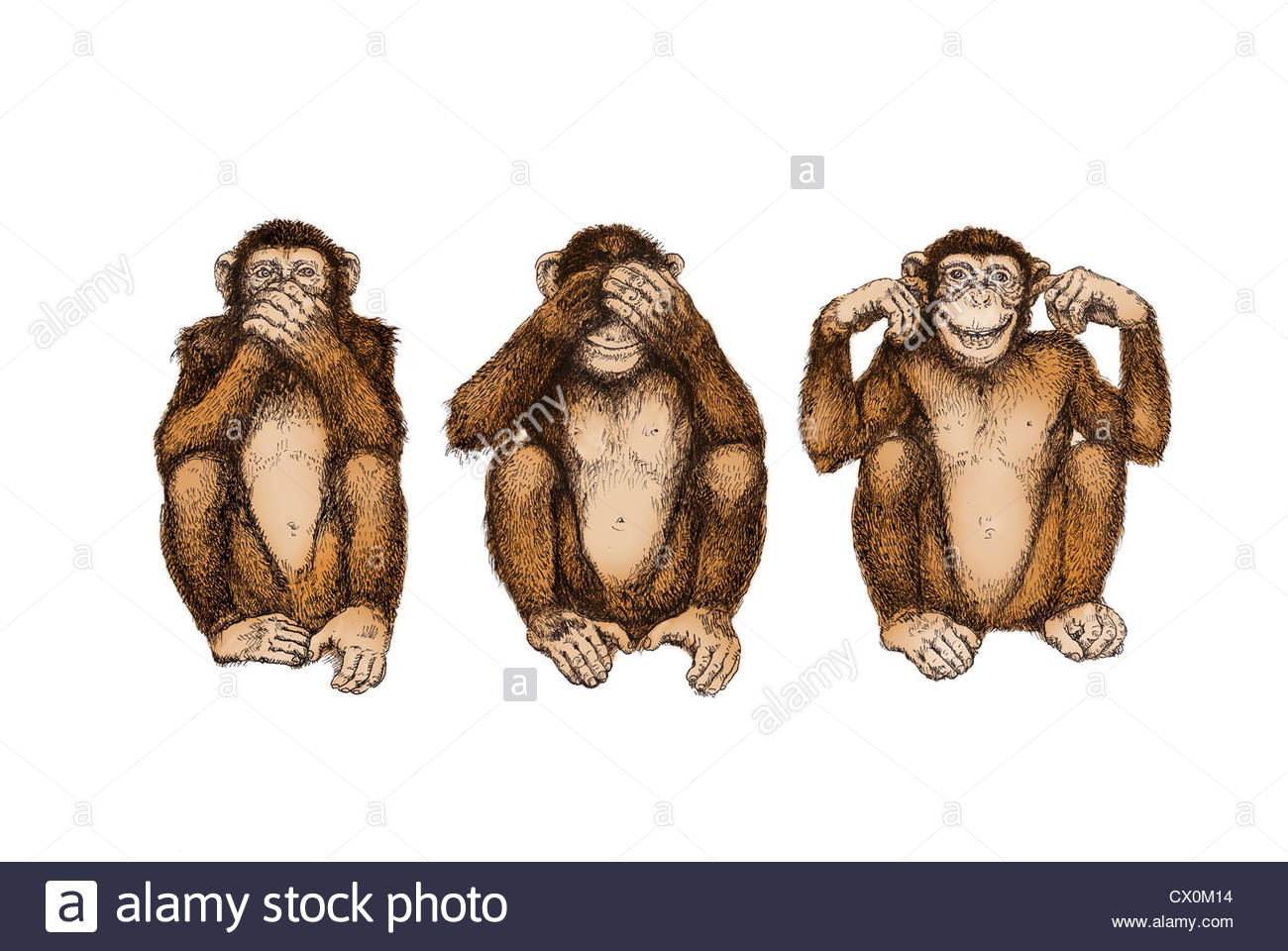 Monkeys Drawing at GetDrawings | Free download