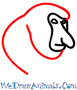 300x350 How To Draw A Proboscis Monkey