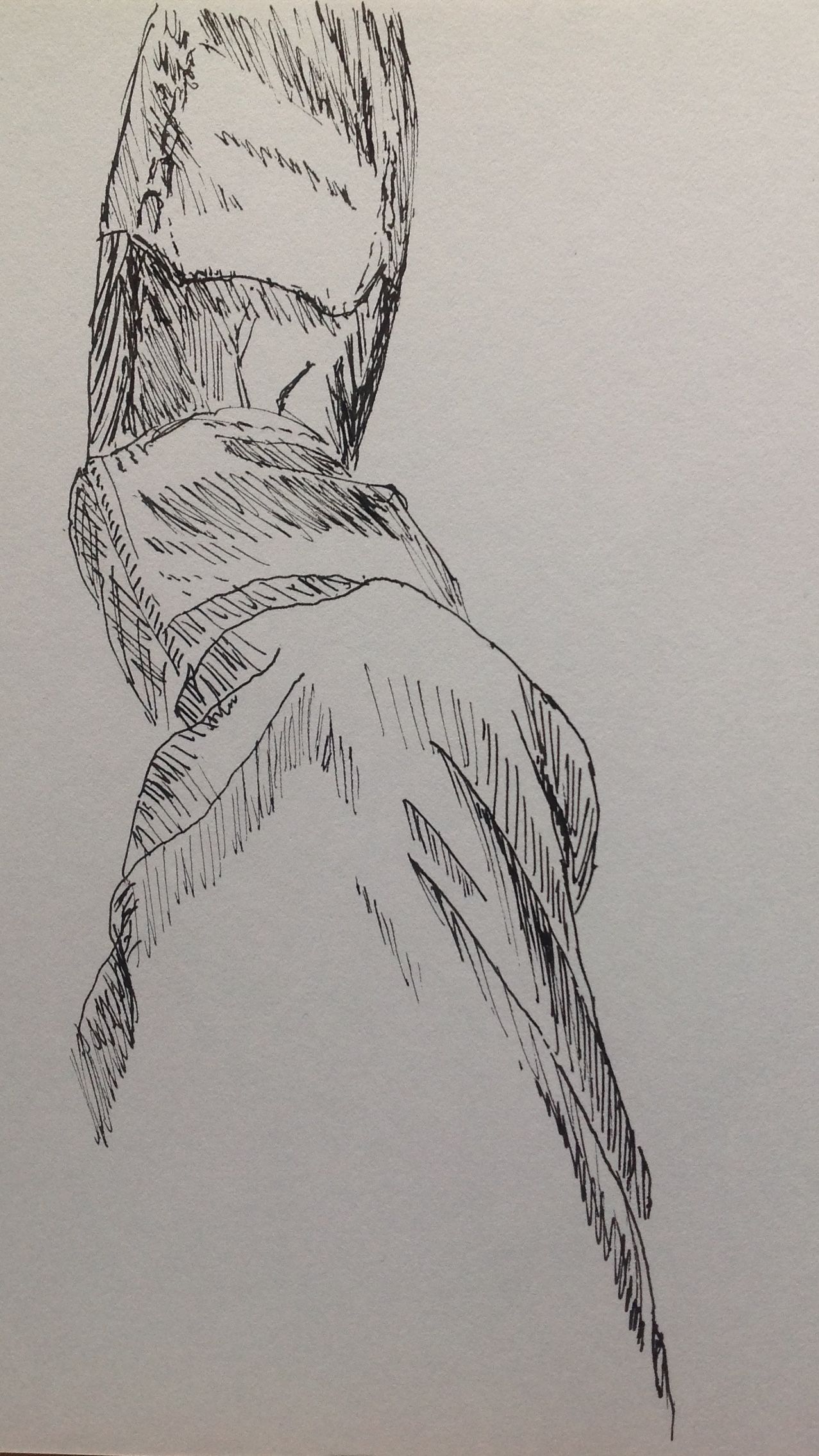 1277x2270 Monsoon Season Drawing. My Leg, Footnd Slipper. Drawn