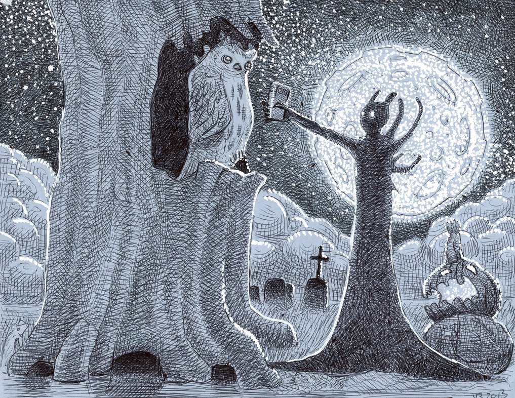 1017x786 Owl Moon By Vonnbriggs