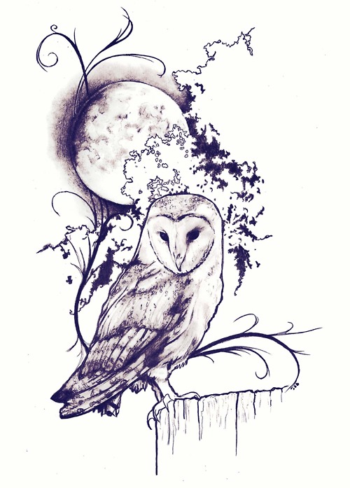 500x697 Hoot To The Moon, Pen And Ink Drawing By Robert Reed. Love