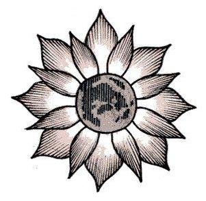 301x293 Moon Flower By Armykat