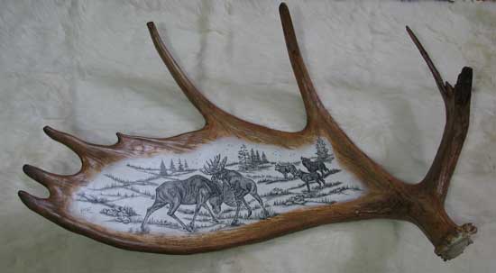 550x303 The Beaver Post