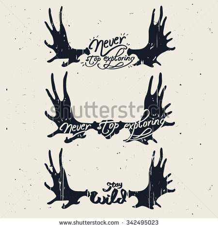 450x470 Moose Antler Drawing