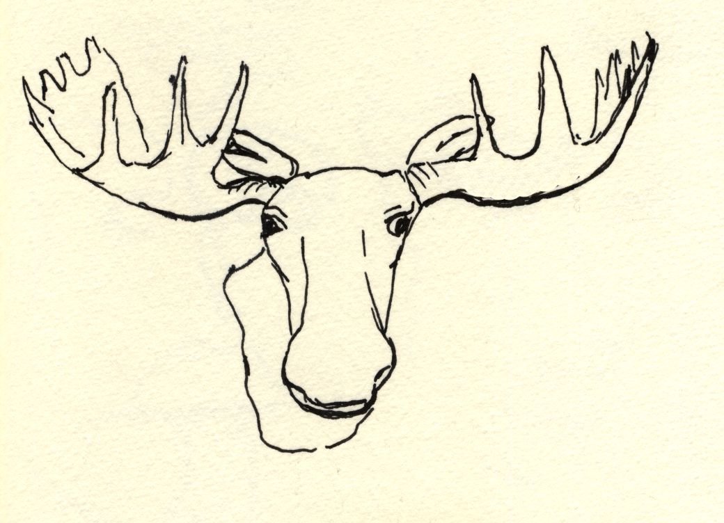 1040x752 How To Draw A Moose Face Group