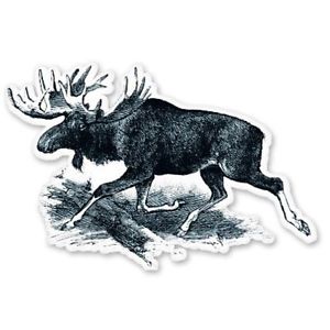 300x300 Moose Running Vintage Drawing Car Vinyl Sticker