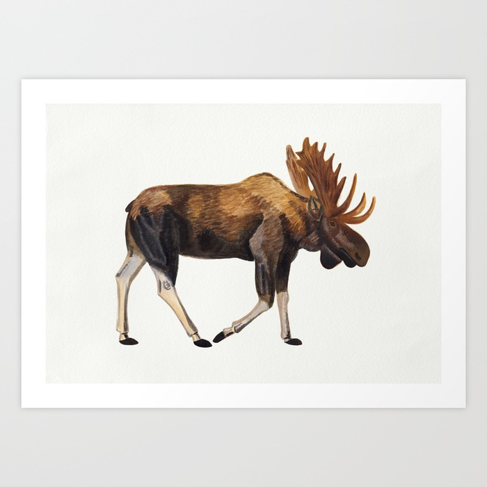 700x700 Watercolour Moose Drawing Art Print By Emmafitzgerald Society6