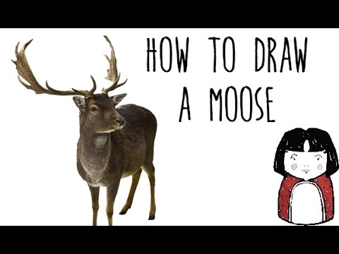 480x360 How To Draw A Moose
