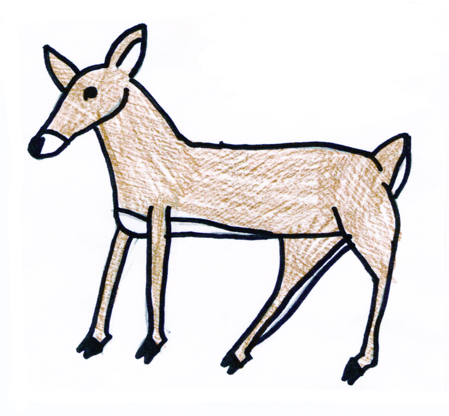 902x837 Kids Art Deer, Moose Amp Elk The Wild World Of Zoobooks