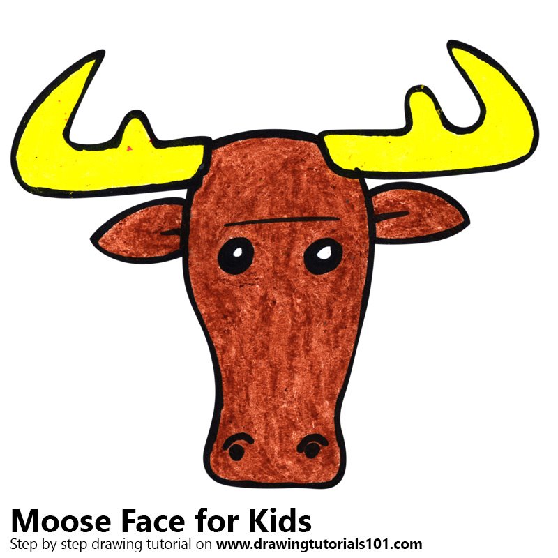 800x800 Learn How To Draw A Moose Face For Kids (Animal Faces For Kids