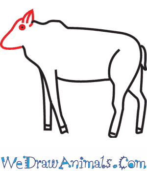 300x350 How To Draw A Moose