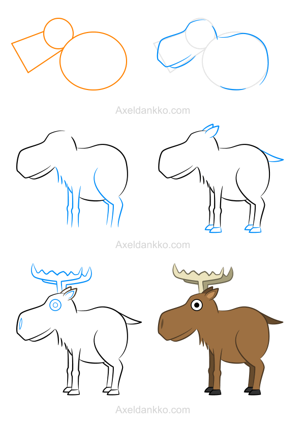 600x836 How To Draw A Moose