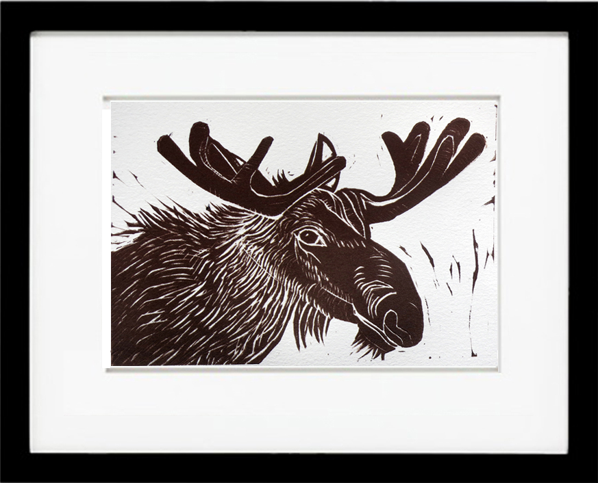 873x706 Moose Face, Print 7 And 8 Out Of 30 Hilary Lorenz