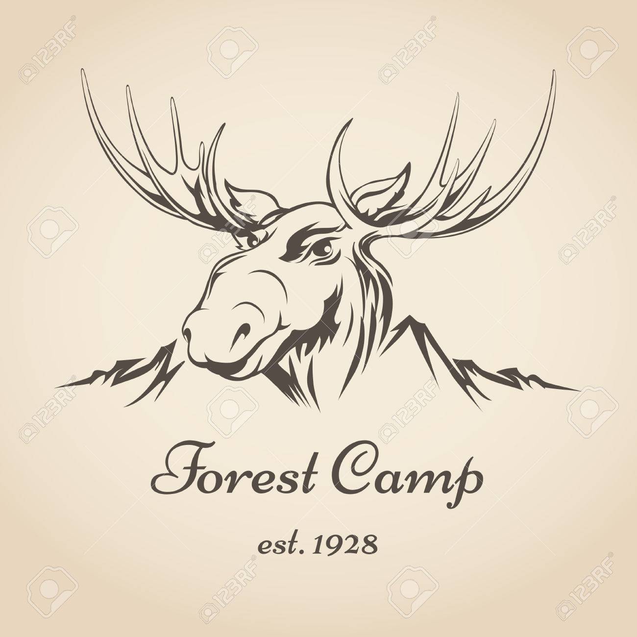 1300x1300 Moose Face Stock Photos. Royalty Free Business Images