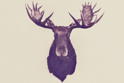 400x267 Valor A Parohy