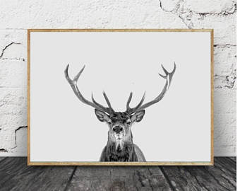 340x270 Moose Head Print Etsy