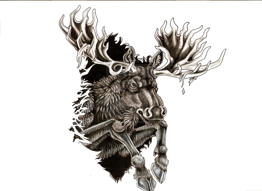 1024x745 Top Moose Head Tattoo Images For Tattoos Elk Dragon