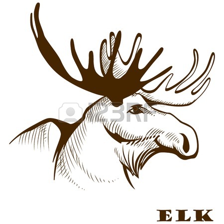 450x450 Vector Illustration Hand Drawn Elk Moose Head. Royalty Free